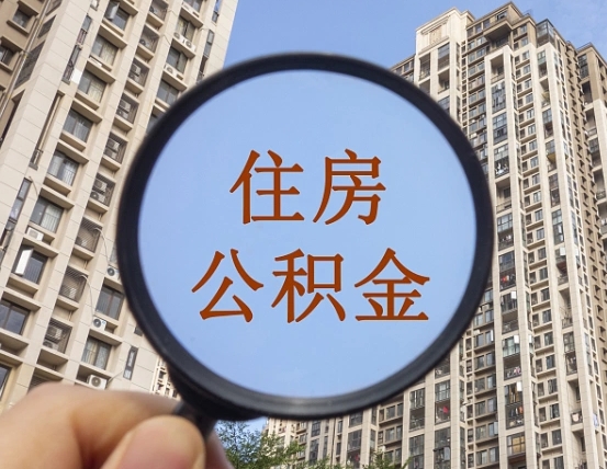 禹城黄牛提取公积金能提出来吗（黄牛提取公积金能提出来吗现在）